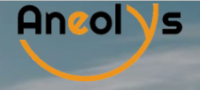 logo aneolys.PNG